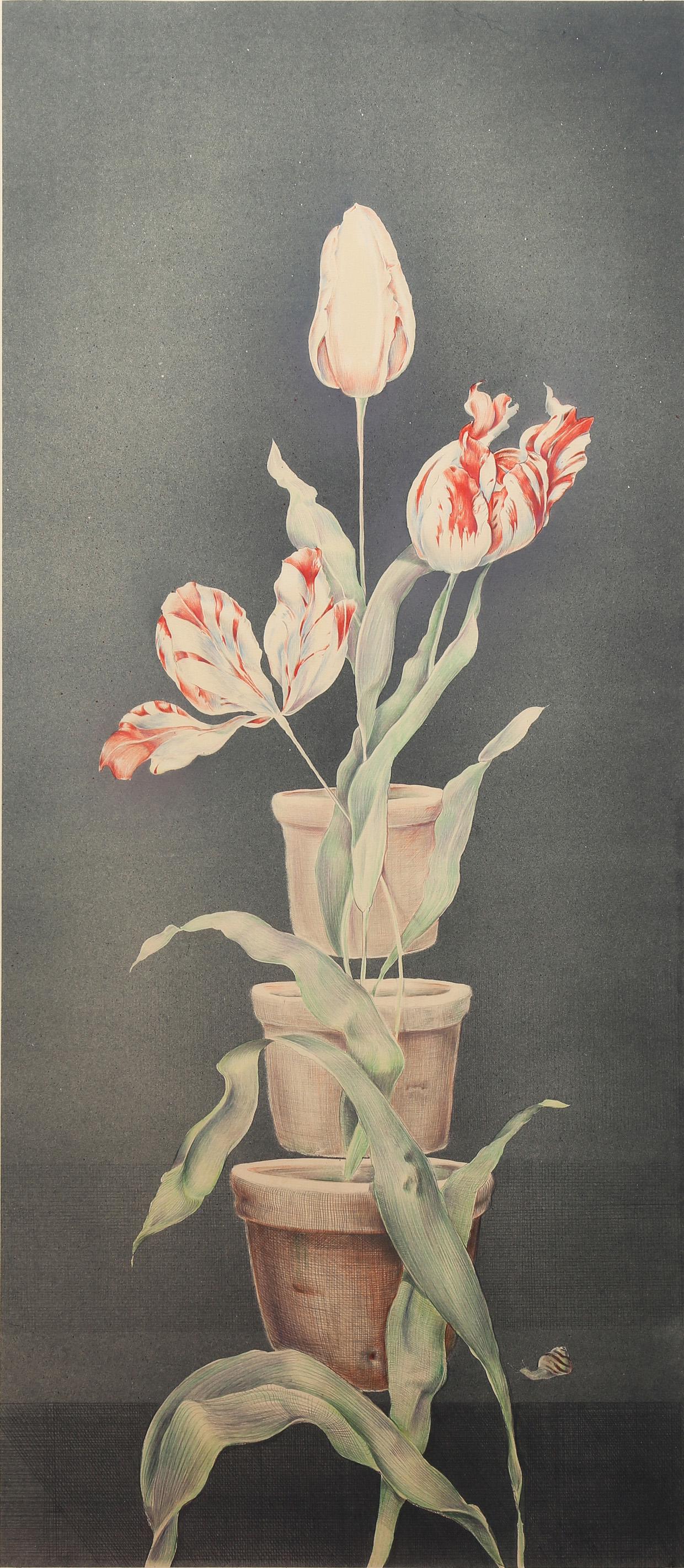 Print, Joseph Goldyne (1 of 6)