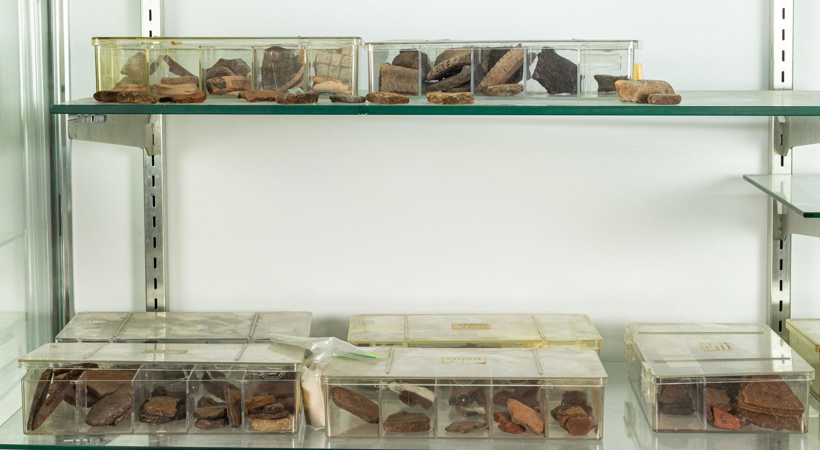 Three shelves of antiquities and oceanic fragments (1 of 1)
