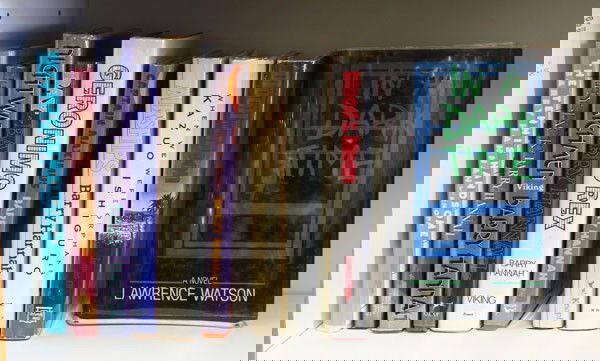 Novels by Barry Hannah, etc: (Lot of 10) 7 Novels by Barry Hannah and others, ''Geronimo Rex'', ''Ray'', ''Night Watchmen'', ''Hey Jack!'', ''Captain Maximus'', ''The Tennis Handsome'' and ''Airships'', plus ''In a Dark Time'' by