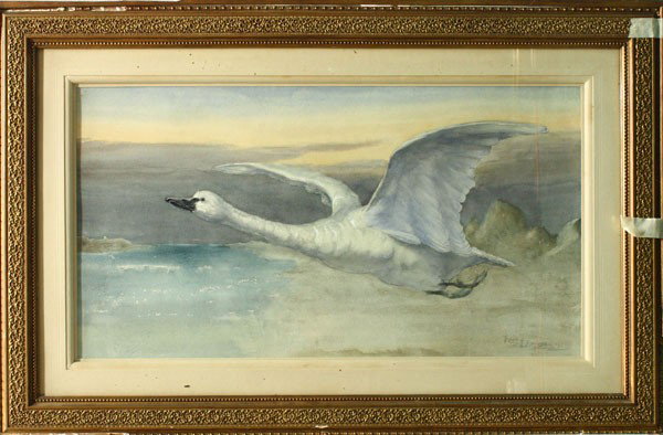 Watercolor, gouache, Flying Swan, Robert Bloodgood: Framed watercolor and gouache, Flying Swan, 1891, by Robert Fanshawe Bloodgood (New York, 1848-1930), signed and dated ''Robert F. Bloodgood 91'' lower right, overall: 32.125''h x 49.5''w