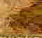 item-116219818=3
