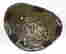 item-116611036=5
