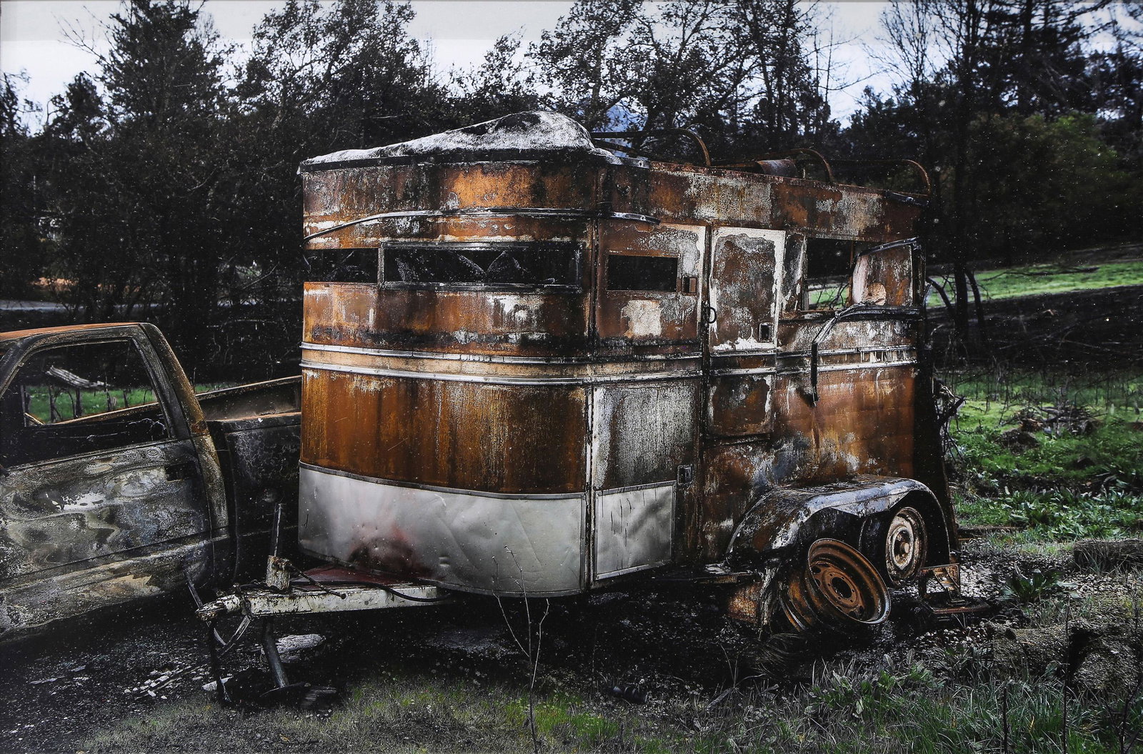 Photograph, Scott Maddern (1 of 3)