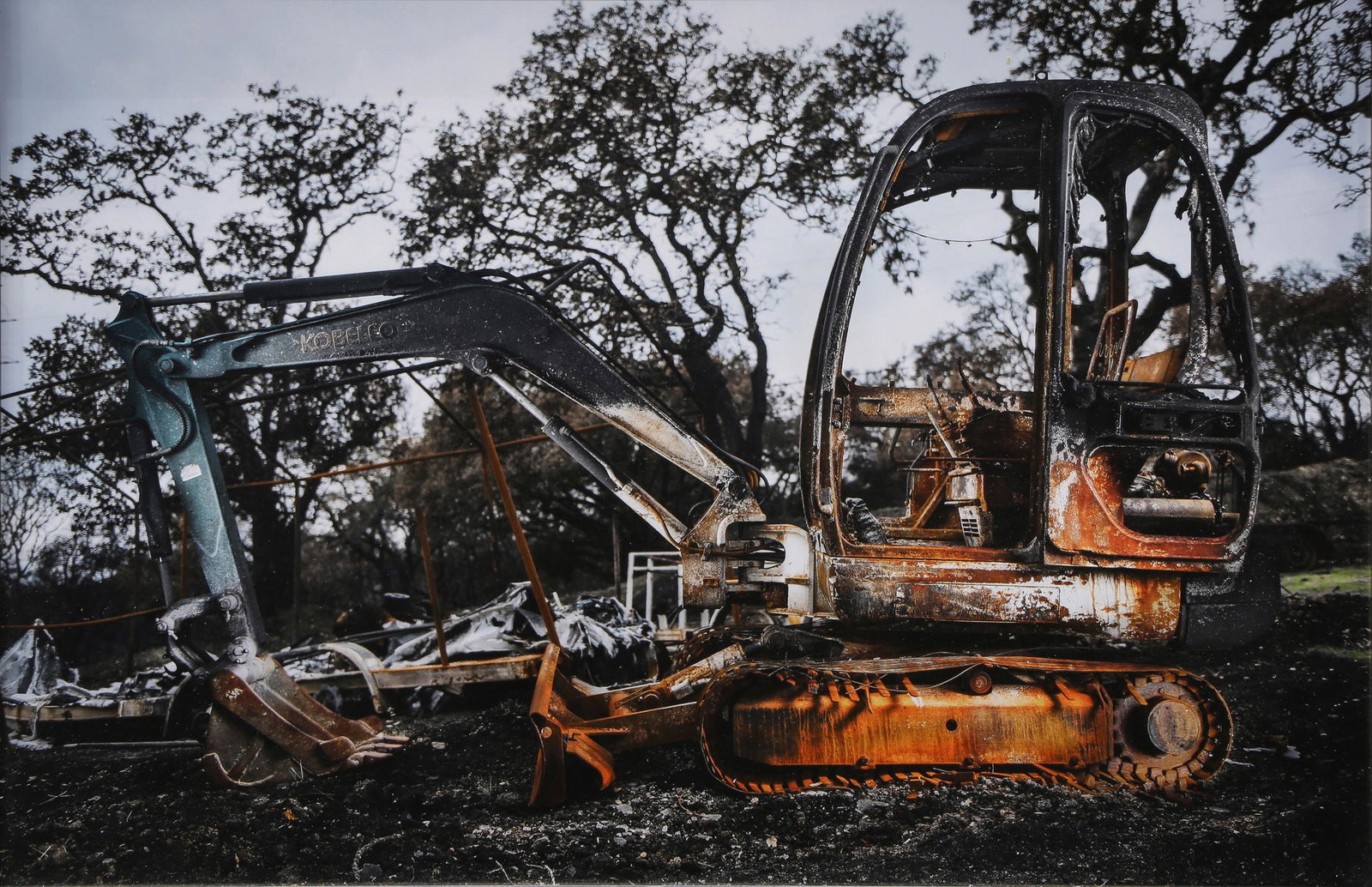 Photograph, Scott Maddern (1 of 3)