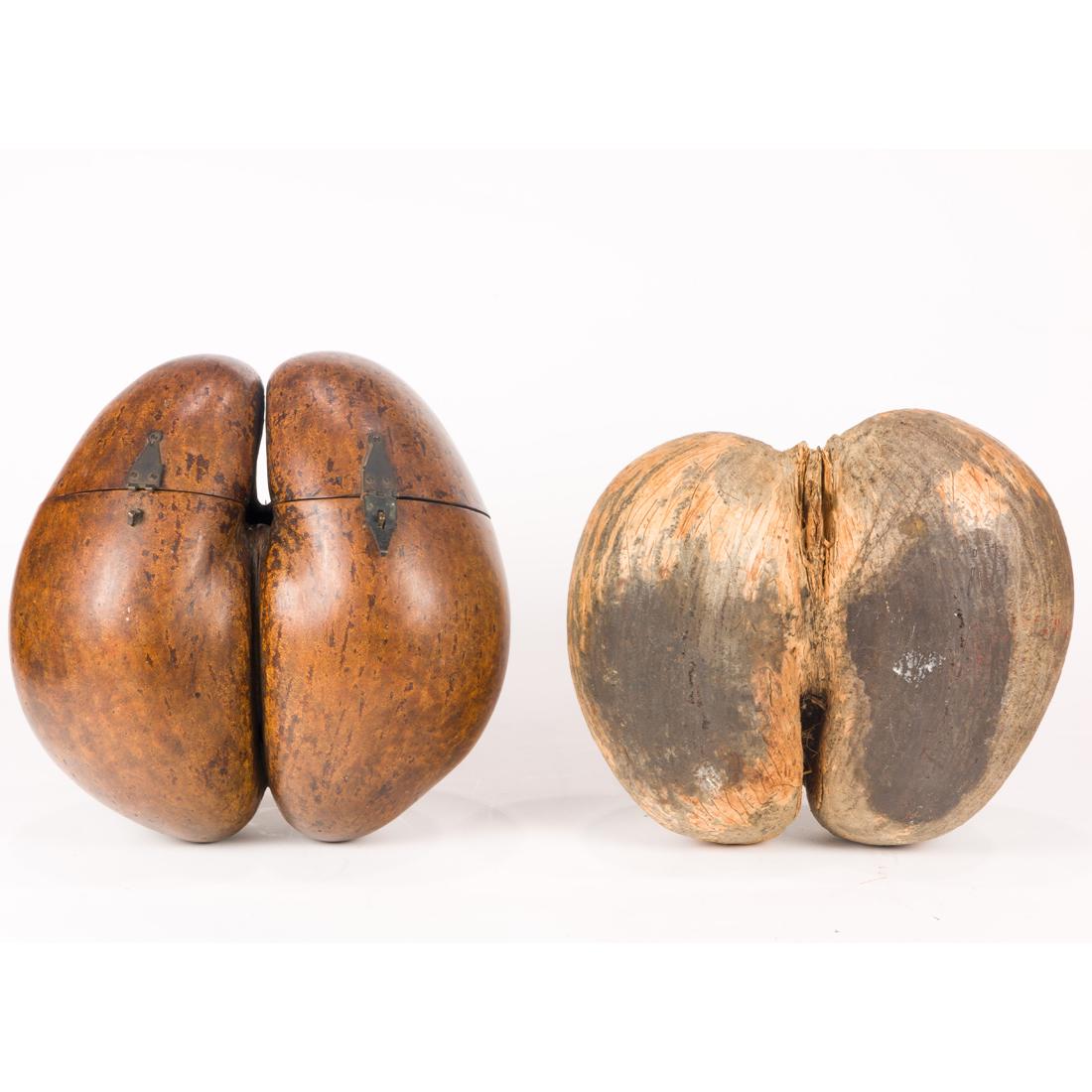 Two Coco de Mer nuts, one mounted as a box (1 of 4)
