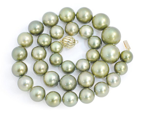 Sage green colored cultured pearl necklace: Sage green Tahitian cultured pearl necklace; having a 14k yellow gold ball clasp. Necklace is set with (35) graduating sage green Tahitian cultured pearls measuring 10.1 mm - 15.3 mm. Necklace length 