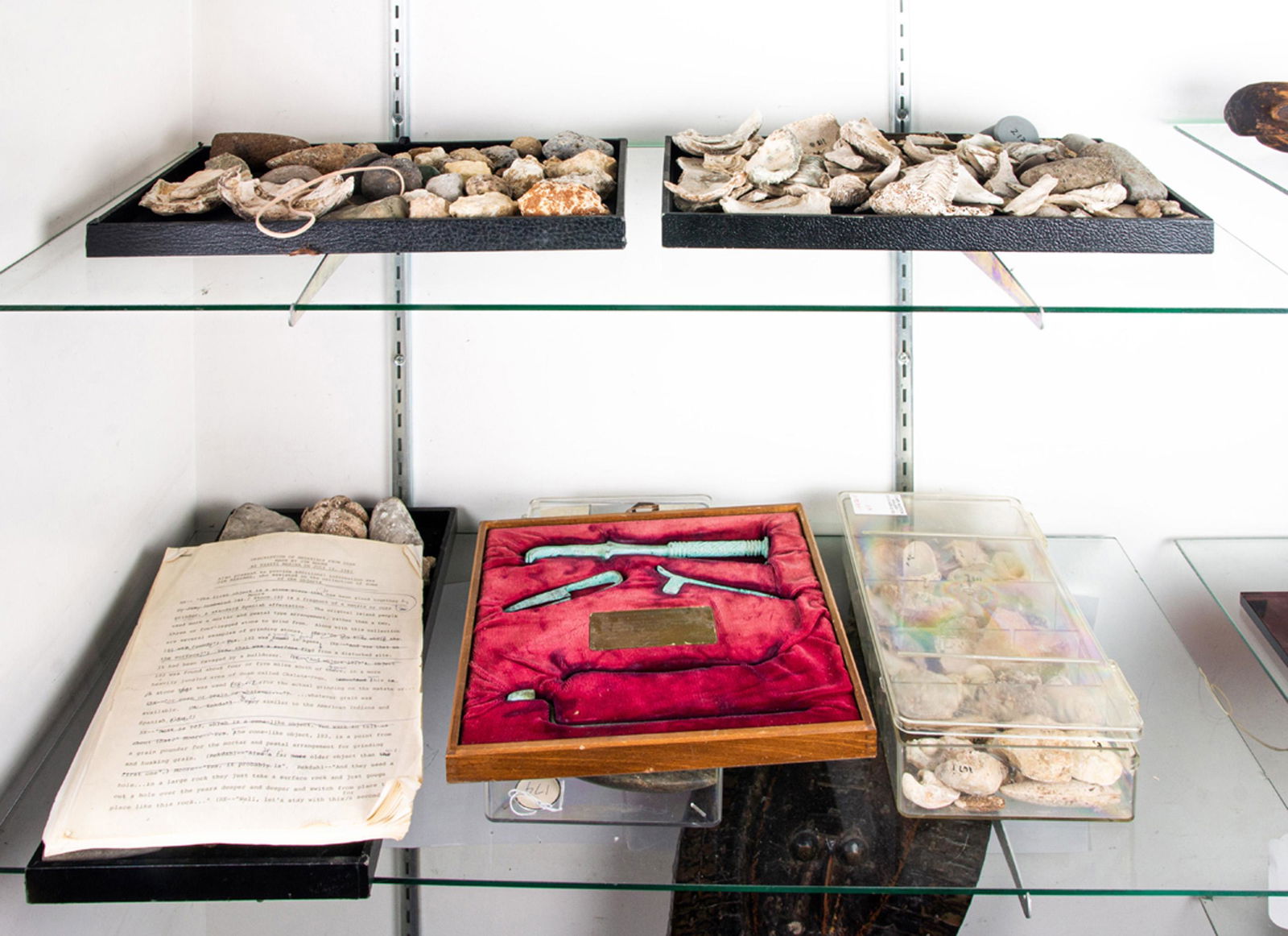 Two shelves of Oceanic stone and shell fragments (1 of 1)