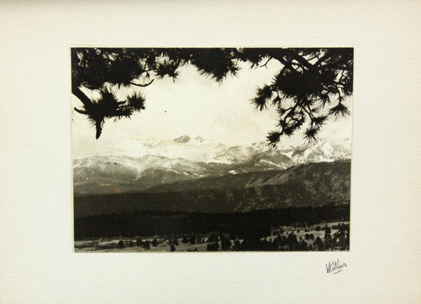 Photographs, Wittier, Mountains: (Set of 2) Unframed photographs mounted on board, View of Mountain Range through Conifers, bears signature ''Wittier'' on the board, overall: 8''h x 10.5''w