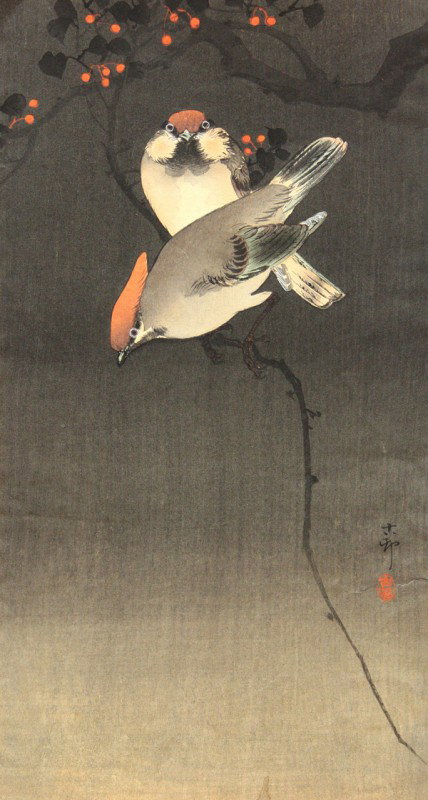 Japanese Modern Print, Ohara Shoson/Koson: Unframed Japanese modern woodblock print, otanzaku, by Ohara Shoson (1877-1945) entitled Waxwings on Twig, [K32.2], signed/sealed Koson, published by Daikokuya (Matsuki Heikichi) (some toning, water s