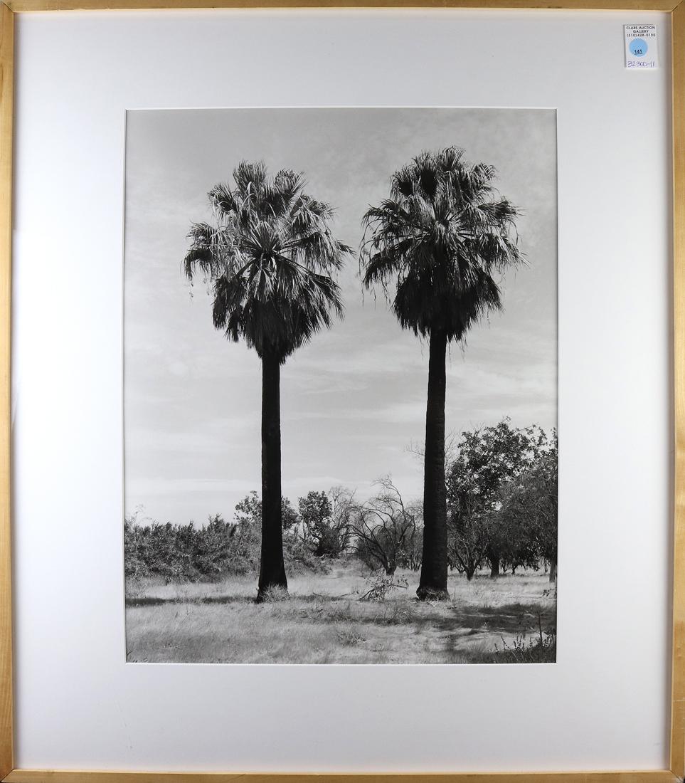 Photograph, Tim Harvey (1 of 2)