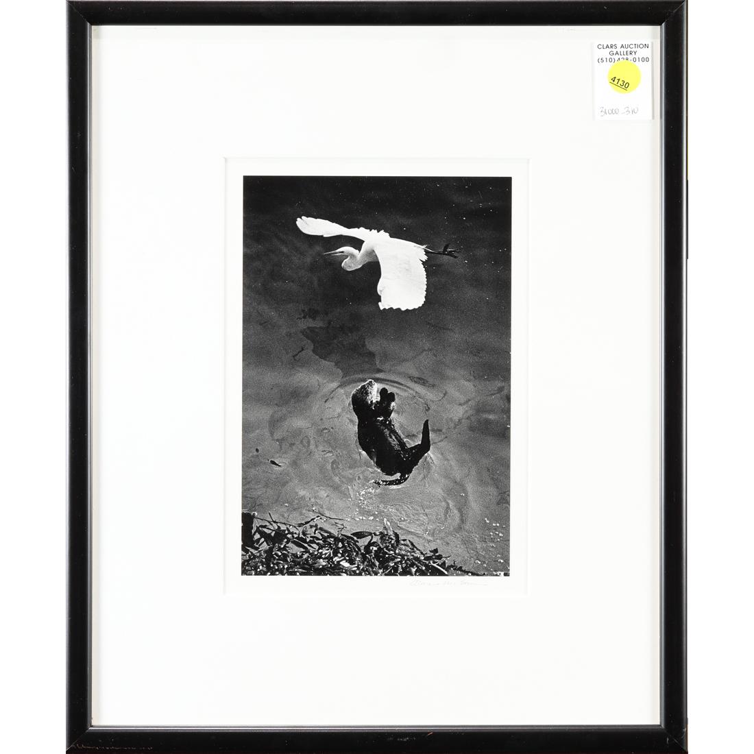 Photograph, American School: American School (20th century), Wildlife Scene, gelatin silver print, signed indistinctly lower right, overall (with frame): 17"h x 14"w