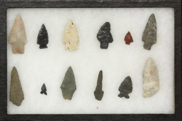 Shadow box with arrowheads: Shadow box displaying twelve arrowheads