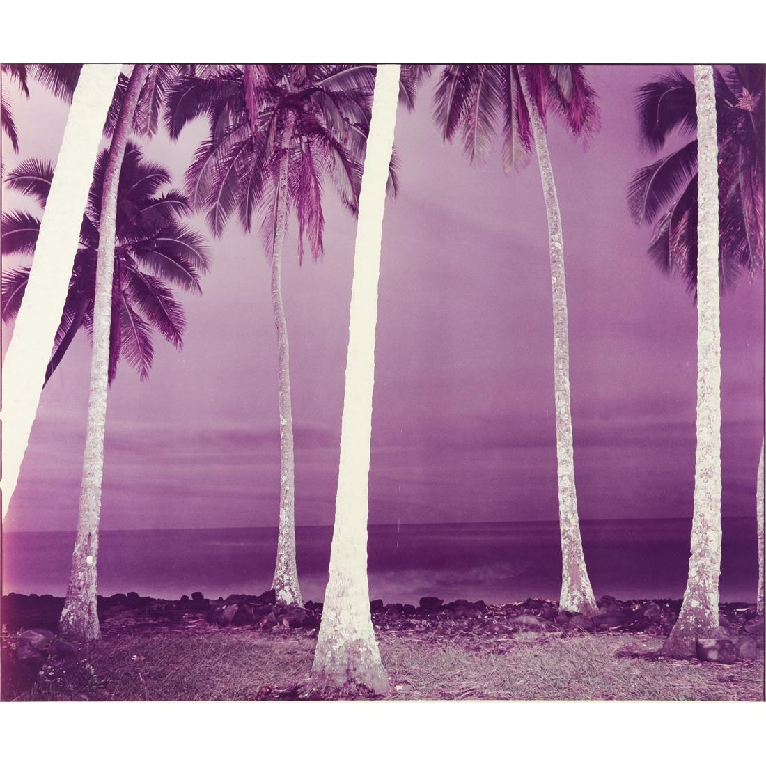 Photograph, Richard Misrach (1 of 5)