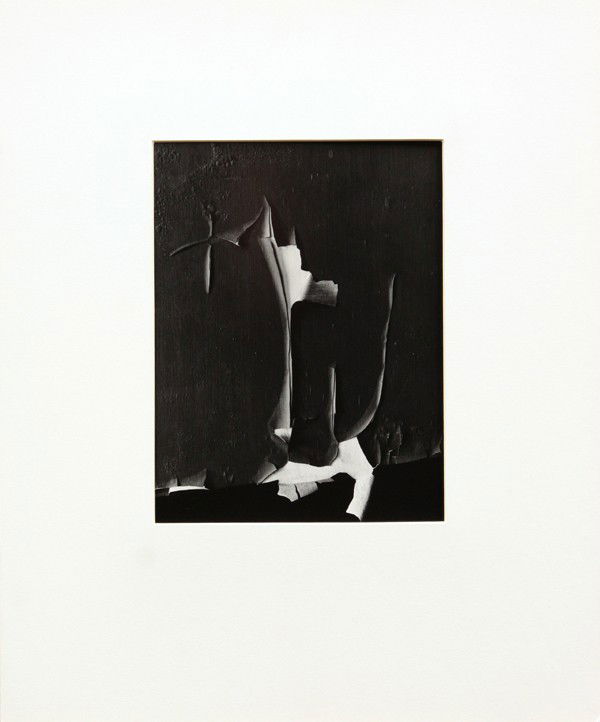 Photograph, Minor White, Peeling Paint: Unframed gelatin silver print, ''Trident, Peeling Paint, Rochester NY,'' 1959, by Minor White (American, 1908-1976), print: 7''h x 9''w. Provenance: From the collection of William Webb