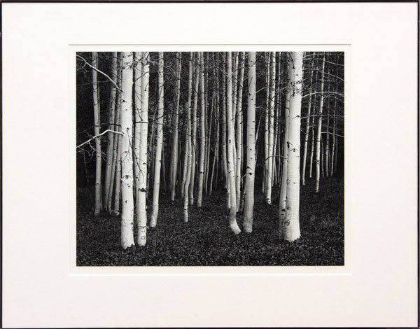 Photograph, John Sexton, Aspen Dusk: Framed gelatin silver print, ''Aspen, Dusk,'' 1978, by John Sexton (American, b.1953), signed in pencil ''John Sexton'' lower right, dated in pencil lower left, print: 14.5''h x 18''w, overall: 22.25'