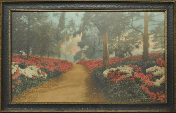Pair of Early 20th century color enhanced photos: (Lot of 4) Framed colored photographs, Baby on the Yard and Path Through the Flowers, framed collotype, General on Horseback, and framed black and white photograph, European Street Scene, all 20th cen