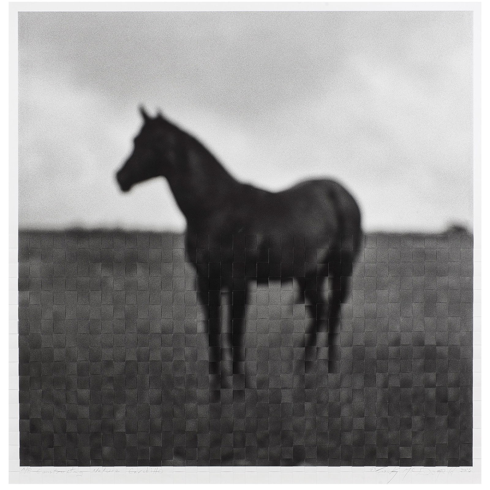 Woven Photograph, Jock Mcdonald (1 of 5)