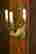 item-133680022=3