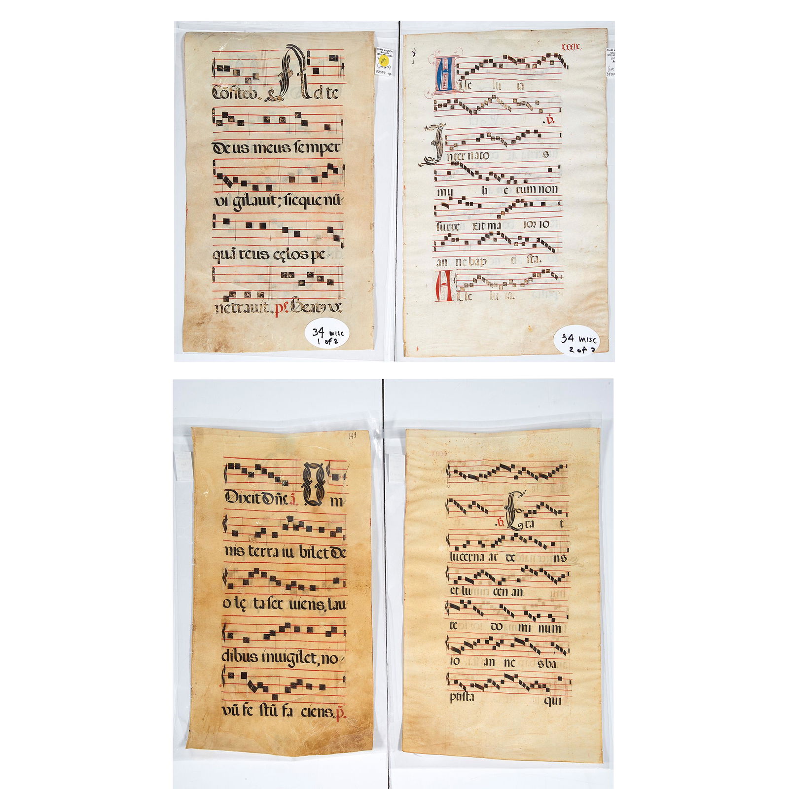 Antiphonal, European School (1 of 1)