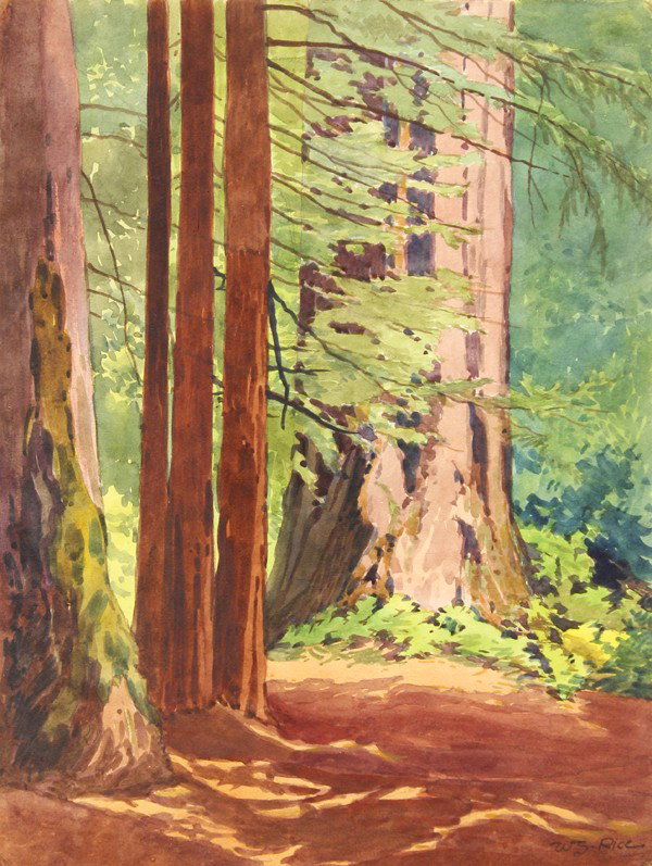 Watercolor, William Seltzer Rice, Healdsburg: Unframed watercolor, ''Healdsburg,'' circa 1908, by William Seltzer Rice (Californian, 1873-1963) signed ''WS. Rice'' lower right, paper: 12''h x 9''w, overall: 20''h x 16''w
