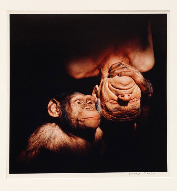 C-print, James Balog, Transformation: Unframed color cibachrome print, ''Transformation,'' 1992-94, by James Balog (American, b.1952), print: 14''h x 14''w, overall: 24''h x 20''w