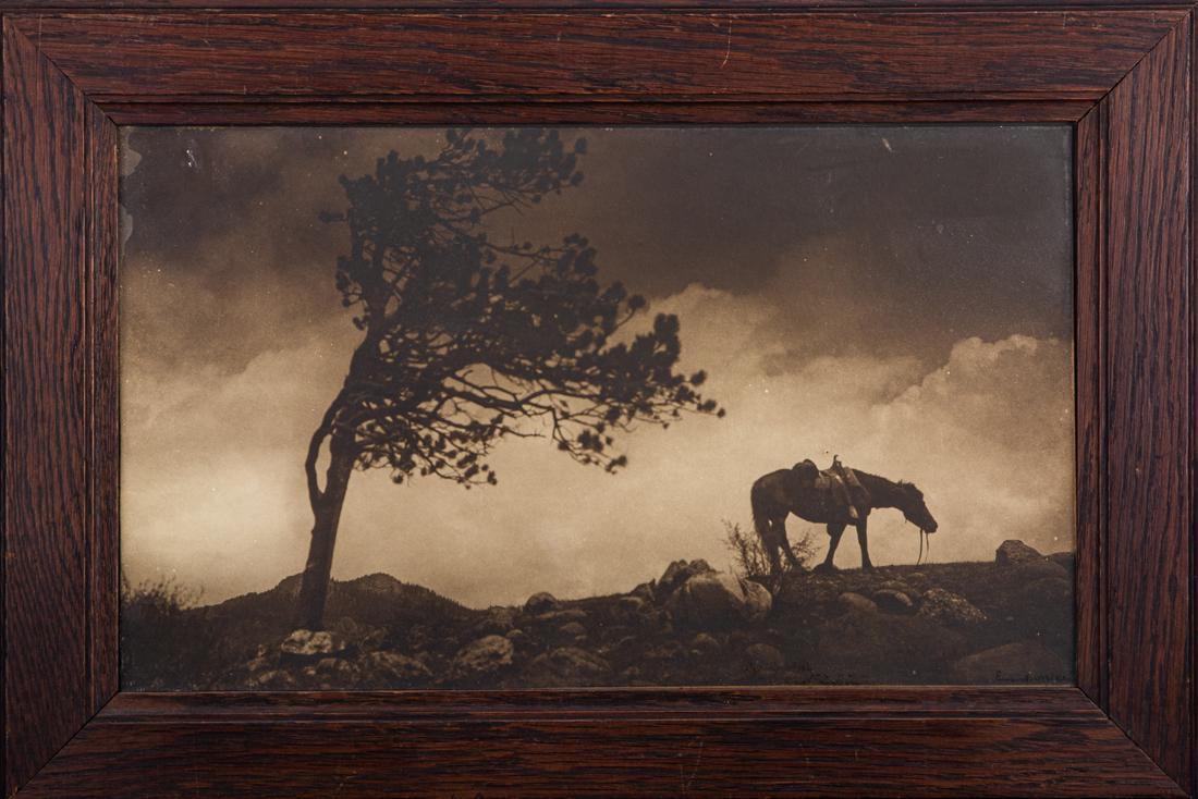 Photograph, Enos A. Mills (1 of 1)