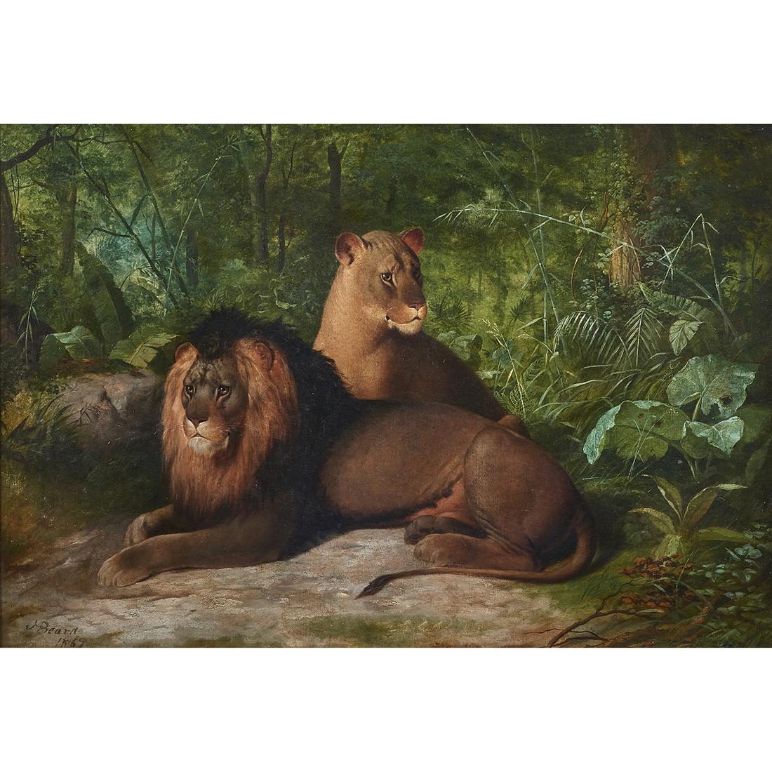 Painting, James Henry Beard: James Henry Beard (American, 1812- 1893), "Lion and Lioness," 1869, oil on canvas, signed lower left, sight: 24"h x 35"w, overall (with frame): 38"h x 51"w