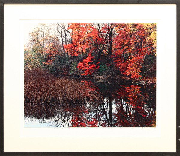 Pair of photographs by John Wawrzonek: (Lot of 3) Framed color cibachrome prints, ''Cattails with Frost at Sunrise,'' ''Islands of Light,'' and ''Crimson Buds,'' by John Wawrzonek (American, b.1941), each signed in pencil ''Wawrzonek'' low