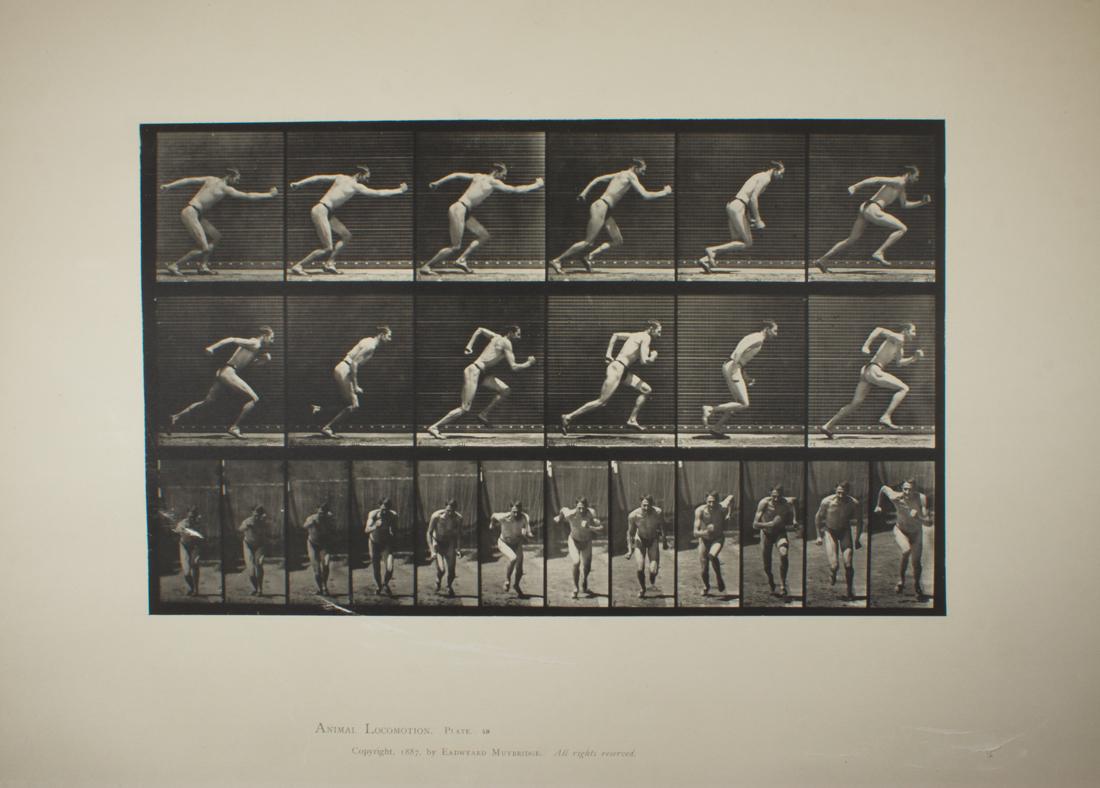 Print, Eadweard Muybridge (1 of 2)