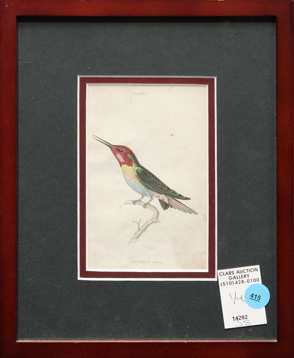 Hummingbird hand-colored prints: (lot of 4) Framed hand-colored engravings, ''Trochilus Anna (Plate 6)'', ''Trochilus Cyaneus (Plate 7)'', ''Trochilus Multicolor (Plate 31)'', and ''Trochilus Saphirinus (Plate 28),'' American School,