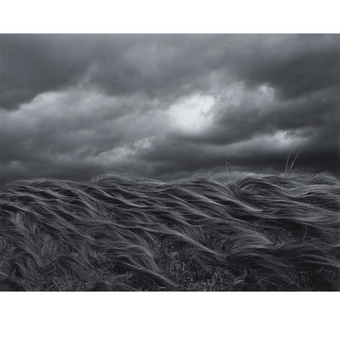 Photograph, Koichiro Kurita (1 of 5)