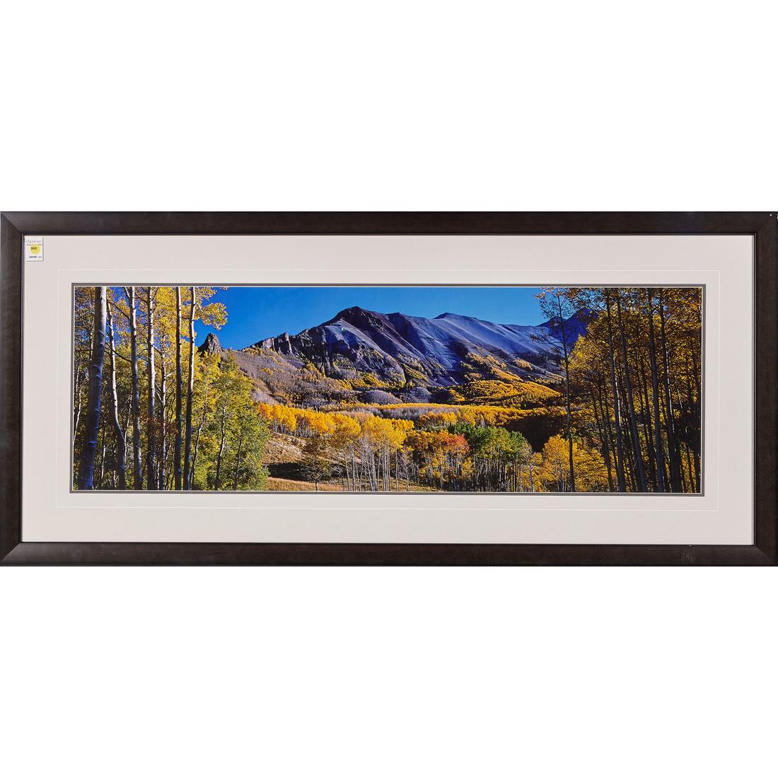 Print, Thomas D. Mangelsen: Thomas D. Mangelsen (American, b. 1946), "Rocky Mountain Indian Summer," cibachrome print, unsigned, overall (with frame): 26"h x 57.5"w. Mangelsen is a photographer and conservationist known for his