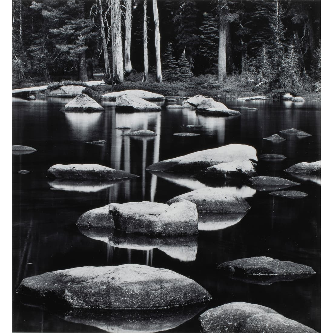 Photograph, Richard Garrod (1 of 4)