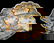 2053: Japanese Imari style plates - 2