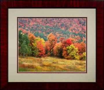 Photograph, Robert Glenn Ketchum: Robert Glenn Ketchum (American, b. 1947), "Meadow in the Rain," 1988/2002, chromogenic print, pencil signed verso, edition 21/33, overall (with frame): 31"h x 36"w