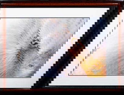 Photograph, Thomas D. Mangelsen: Thomas D. Mangelsen (American, b. 1946), Eagle, chromogenic print, pen signed lower left, edition 732/1500, overall (with frame): 31"h x 41.5"w