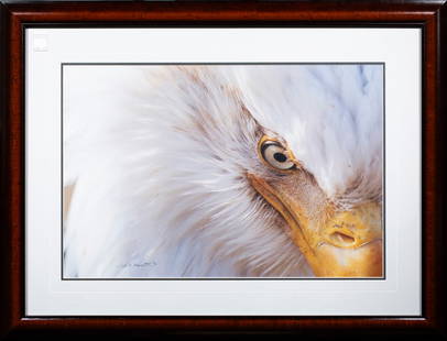 Photograph, Thomas D. Mangelsen: Thomas D. Mangelsen (American, b. 1946), Eagle, chromogenic print, pen signed lower left, edition 732/1500, overall (with frame): 31"h x 41.5"w