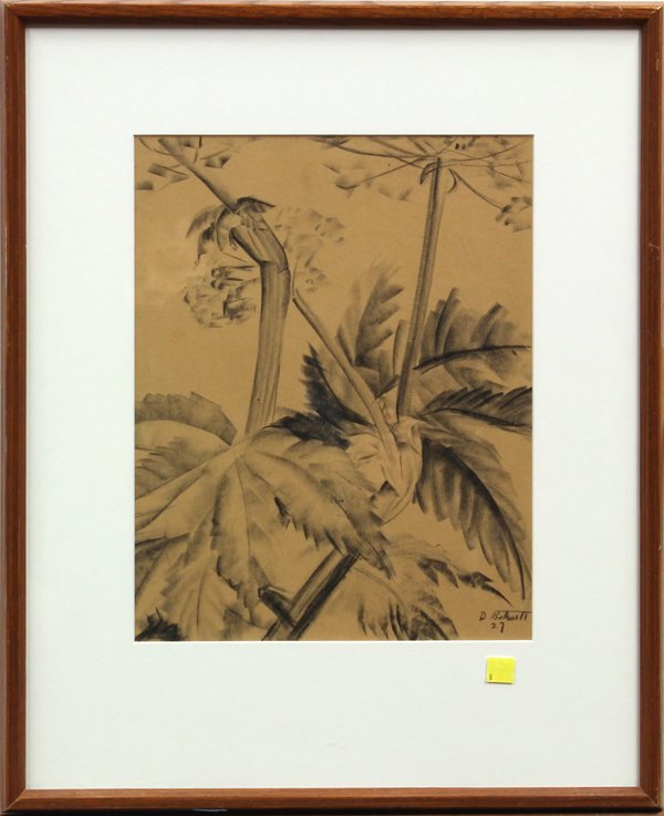 Drawing, Dorr Bothwell, Palms: Framed charcoal drawing, Palms, 1927, by Dorr Bothwell (Californian, 1902-2000), signed and dated ''Bothwell '27'' lower right, sight: 13''h x 10''w, overall: 20''w x 16''w