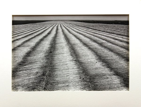 Photograph, Edouard Boubat, Champ de lin: Unframed gelatin silver print, ''Champ de lin, Normandie,'' 1948, Edouard Boubat (French, 1923-1999), signed, titled and dated verso, sheet: 12''h x 16''w. Provenance: Deaccessioned from The Museum of