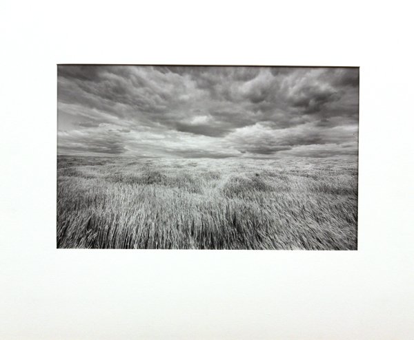 Photograph, Lawrence McFarland, Kansas: Unframed (matted) gelatin silver print, ''Wheat Fields, Kansas-Nebraska Border,'' 1976, by Lawrence McFarland (American, b. 1942), inscribed upon mount, image: 10.5''h x 17''w, overall: 20''h x 24''w.