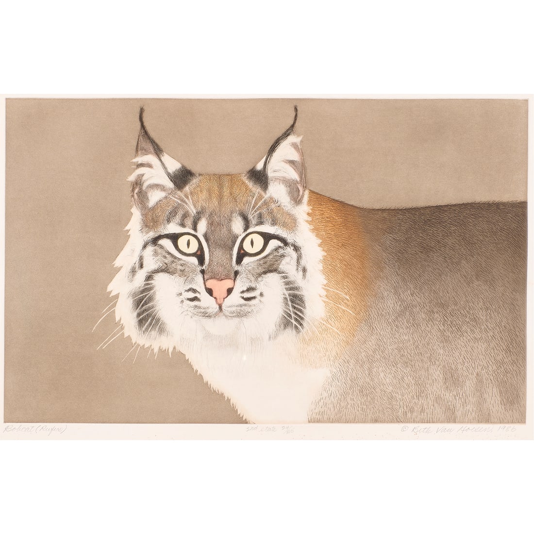 Print, Beth Van Hoesen (1 of 4)