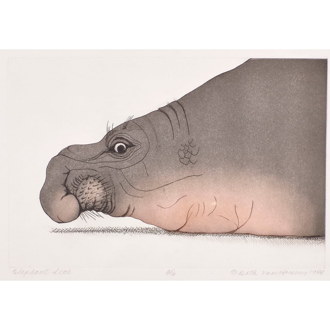 Print, Beth Van Hoesen (1 of 4)