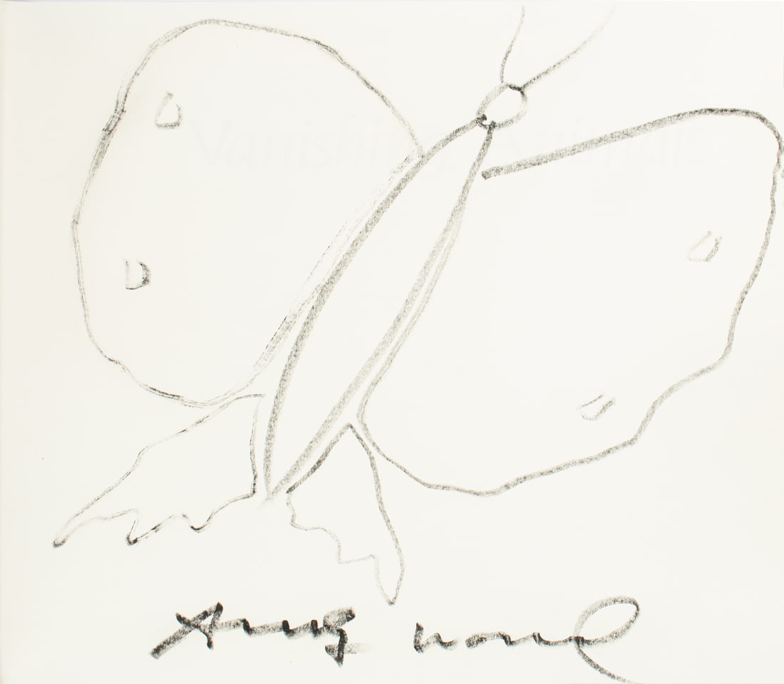 Drawing and Book, Andy Warhol (1 of 6)