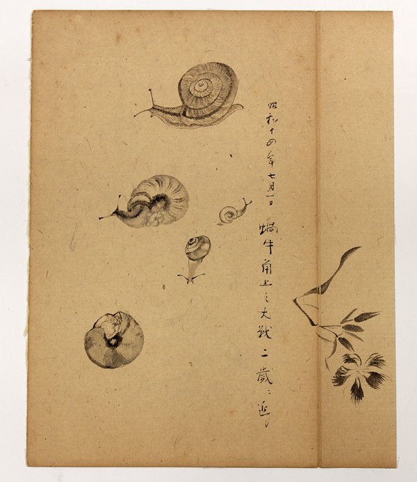Five Japanese Old Drawings: (lot of 5) Group of sumie (Chinese ink) drawings, depicting sparrow, snails, street vender, longevity god and a calligraphy on shikishi, of various sizes and conditions; largest: 19.5''hx 12.75''w