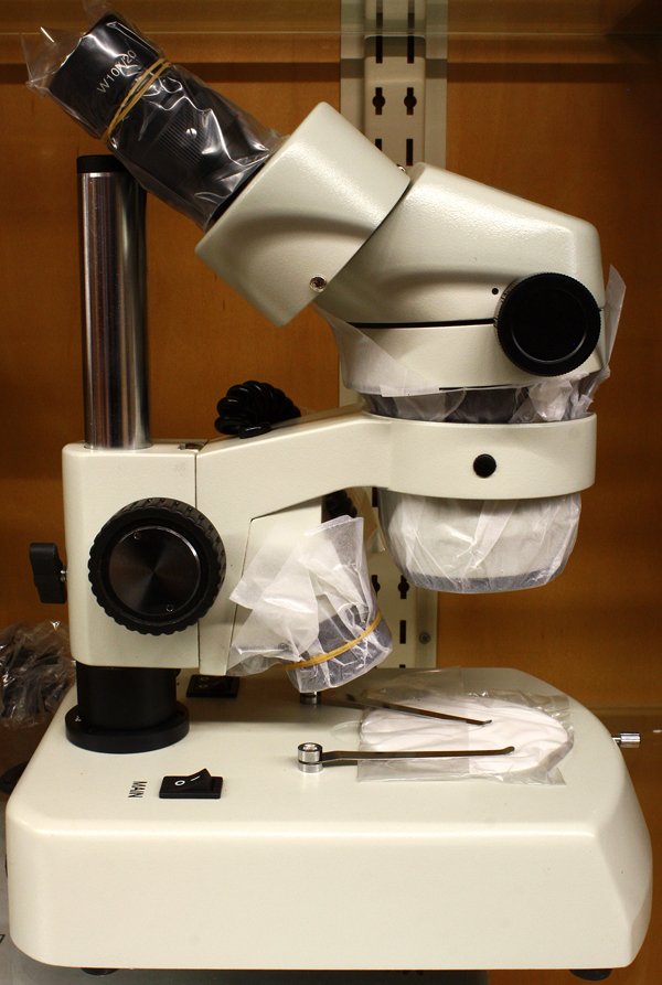 Edmund Scientific Microscope: Edmund scientific microscope, 12.5''h