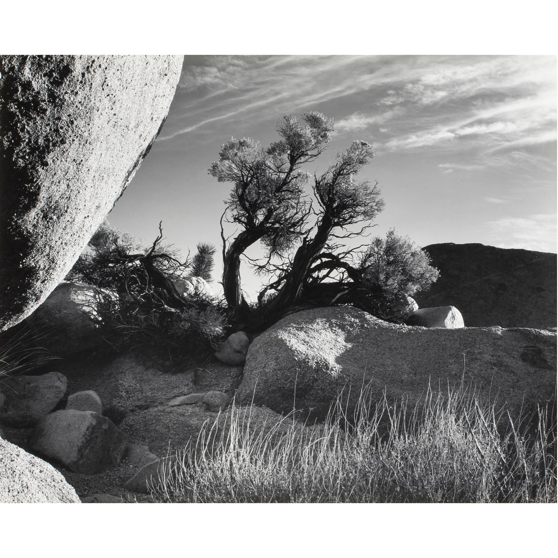 Photograph, Brett Weston: Brett Weston (American, 1911-1993), Yucca Valley, California, 1950, gelatin silver print, signed and dated verso of mat, image: 7.75"h x 9.75"w, overall (with mat, unframed): 11"h x 13.75"w