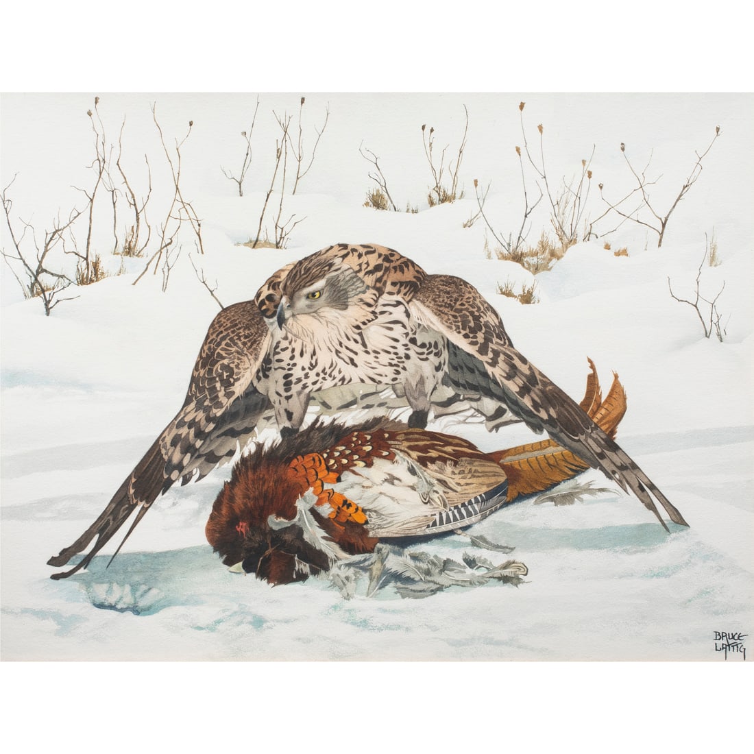 Watercolor, Bruce Lattig (1 of 4)