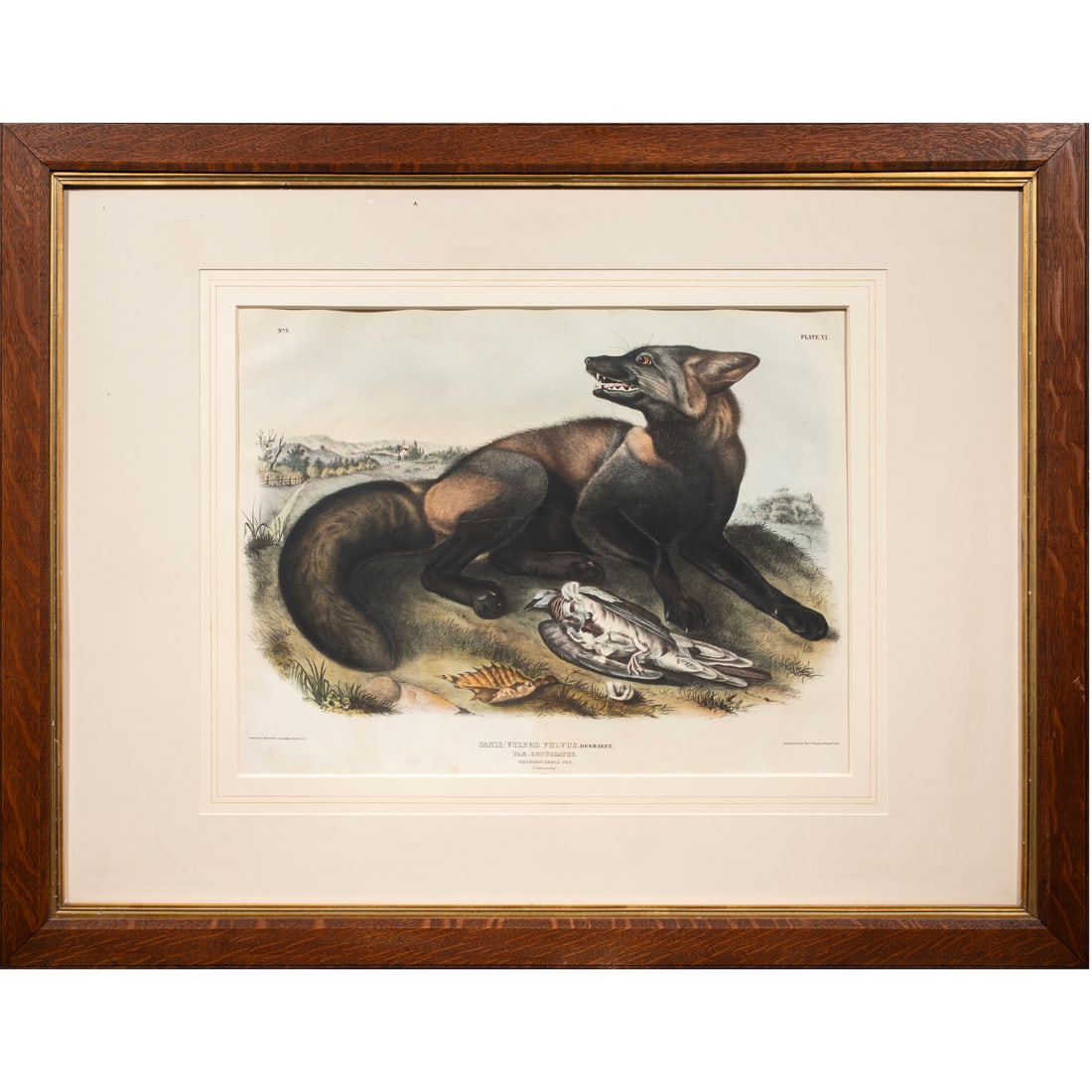 Print, John James Audubon (1 of 1)