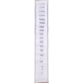 Watercolor, Laurie Reid