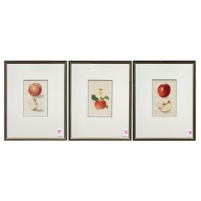 Prints, Deborah Griscom Passmore